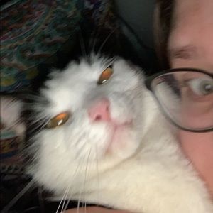 Meet your Posher, Katelyn